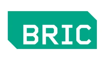 BRICLOGO_resultado